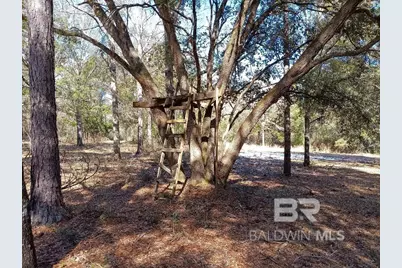 32799 Rustic Bend, Robertsdale, AL 36567 - Photo 12