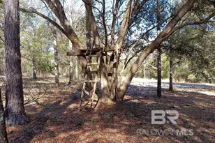 32799 Rustic Bnd, Robertsdale, AL 36567 - Photo 12