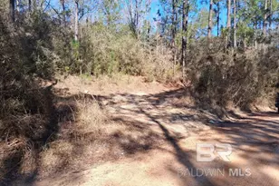 32799 Rustic Bnd, Robertsdale, AL 36567 - Photo 30