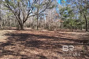 32799 Rustic Bnd, Robertsdale, AL 36567 - Photo 10