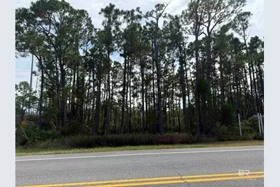 W Fort Morgan Highway, Gulf Shores, AL 36542 - Photo 2