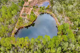 32106 W Seminole Rd, Seminole, AL 36574 - Photo 26