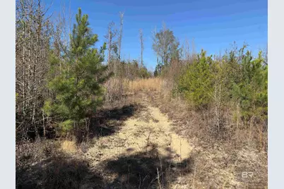 2006 Evergreen Road, Jackson, AL 36545 - Photo 74