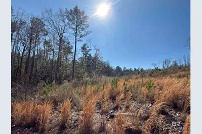 2006 Evergreen Road, Jackson, AL 36545 - Photo 72