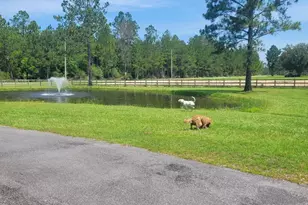 27860 Goat Cooper Rd, Robertsdale, AL 36567 - Photo 36