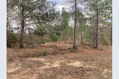 0 W 5th Street, Bay Minette, AL 36507 - Photo 6