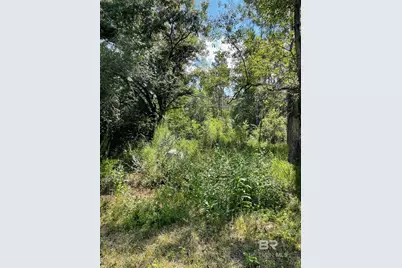 20150 County Road 87, Robertsdale, AL 36567 - Photo 1