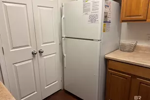 6194 St Hwy 59, Gulf Shores, AL 36542 - Photo 22