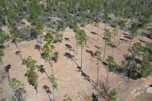 0 Archie Rd, Elberta, AL 36530 - Photo 1