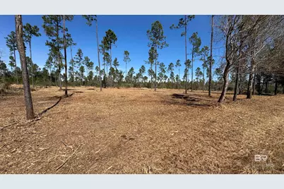0 Archie Road, Elberta, AL 36530 - Photo 12