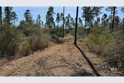 0 Archie Road, Elberta, AL 36530 - Photo 10