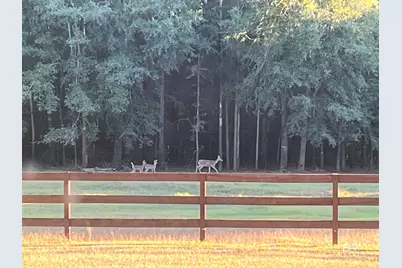 24250 Hack Road, Bay Minette, AL 36507 - Photo 24