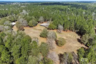 24250 Hack Rd, Bay Minette, AL 36507 - Photo 88