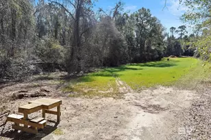 24250 Hack Rd, Bay Minette, AL 36507 - Photo 80