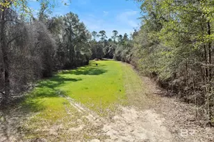 24250 Hack Rd, Bay Minette, AL 36507 - Photo 20