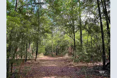 24250 Hack Road, Bay Minette, AL 36507 - Photo 22