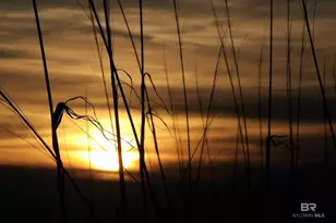 1380 State Hwy 180, Gulf Shores, AL 36542 - Photo 36