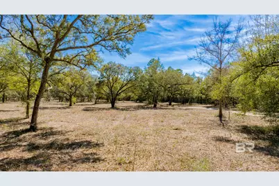 00 County Road 99, Lillian, AL 36549 - Photo 6