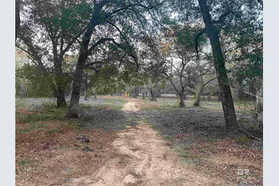 00 County Road 99, Lillian, AL 36549 - Photo 1