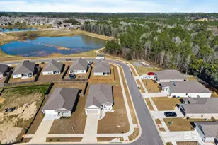 12919 Torrent Rd, Fairhope, AL 36576 - Photo 60