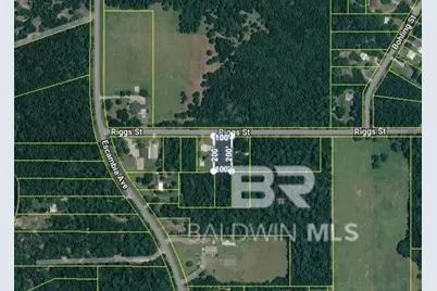 0 Riggs Street, Elberta, AL 36530 - Photo 1