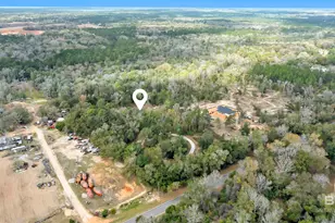 10341 Magnolia Springs Hwy, Foley, AL 36535 - Photo 32