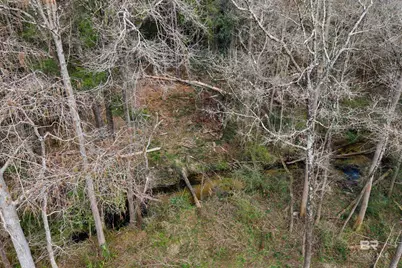 10736 County Road 83, Elberta, AL 36530 - Photo 8