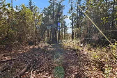 10736 County Road 83, Elberta, AL 36530 - Photo 2