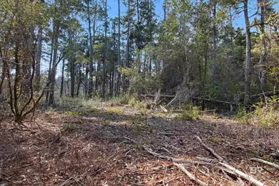 10736 County Road 83, Elberta, AL 36530 - Photo 16