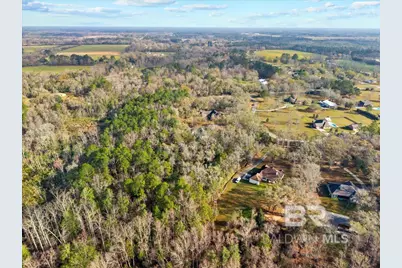 Chene Trace, Rosinton, AL 36567 - Photo 4