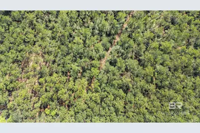 Lot #1 Bermuda Lane, Seminole, AL 36574 - Photo 24