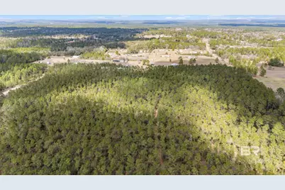 Lot #1 Bermuda Lane, Seminole, AL 36574 - Photo 14