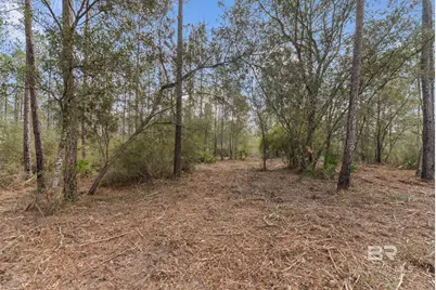 Lot #1 Bermuda Lane, Seminole, AL 36574 - Photo 6