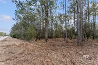 Lot #1 Bermuda Lane, Seminole, AL 36574 - Photo 4
