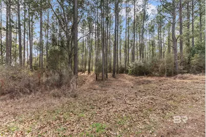 Lot #1 Bermuda Lane, Seminole, AL 36574 - Photo 10