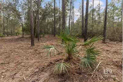Lot #1 Bermuda Lane, Seminole, AL 36574 - Photo 2
