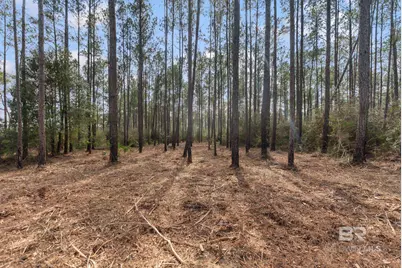 Lot #1 Bermuda Lane, Seminole, AL 36574 - Photo 8