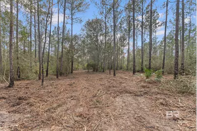 Lot #10 Bermuda Lane, Seminole, AL 36574 - Photo 6