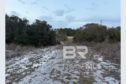 Tbd State Highway 180, Gulf Shores, AL 36542 - Photo 8