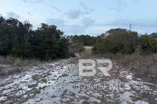 Tbd State Hwy 180, Gulf Shores, AL 36542 - Photo 8