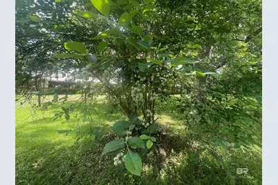 24545 Peavy Lane, Robertsdale, AL 36567 - Photo 36