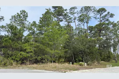 0 Osprey Drive, Orange Beach, AL 36561 - Photo 2