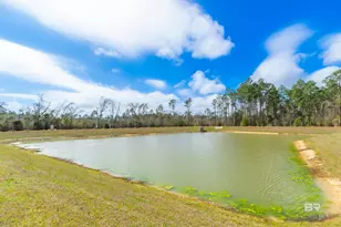 9046 Albatross Dr, Foley, AL 36535 - Photo 38