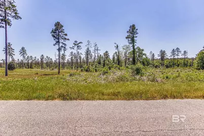 0 Allen Road, Atmore, AL 36502 - Photo 28