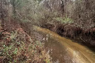 2483 Jordan Rd, Flomaton, AL 36441 - Photo 6