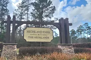 33803 Rutland Ln, Spanish Fort, AL 36527 - Photo 2