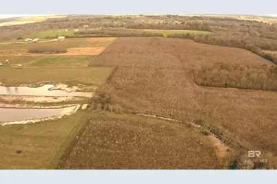 F Old Brady Road, Bay Minette, AL 36507 - Photo 4