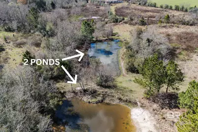 34380 Kennedy Lane, Stapleton, AL 36578 - Photo 2