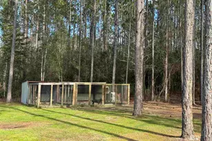 51235 Phillipsville Rd, Bay Minette, AL 36507 - Photo 50