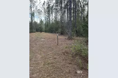 51235 Phillipsville Road, Bay Minette, AL 36507 - Photo 58